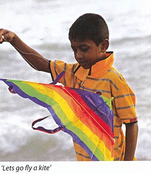 Kite flying on Galle Face Green