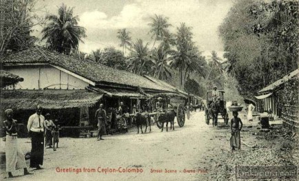 Typical street scene at Grand Pass Colombo in 1890-1900 Sri Lanka